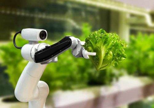 teknolojik-tarim-900